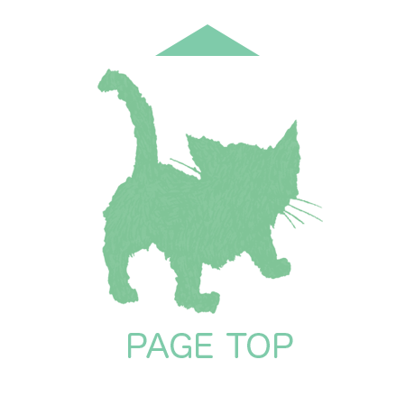 PAGE TOP